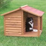 Nogle gange er det lækkert at kunne give hunden tid for sig selv (Foto Petworld.dk)