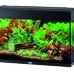 Et akvarium er både kæledyr og pynt (foto petworld.dk)